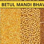 आज के बैतूल मंडी भाव 2025 Updated