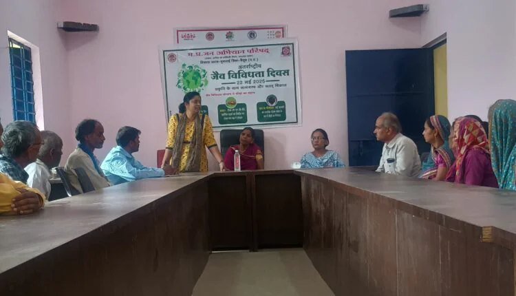 बैतूल सरकारी समाचार