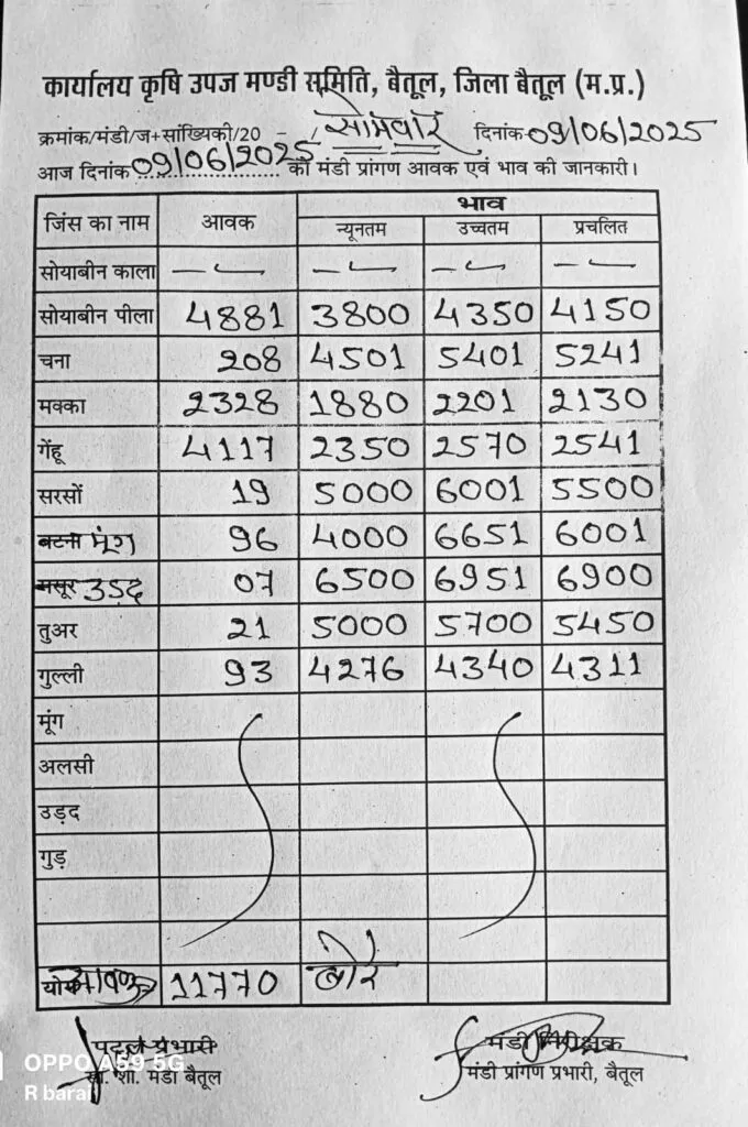 Betul mandi bhav 9 june 2025
